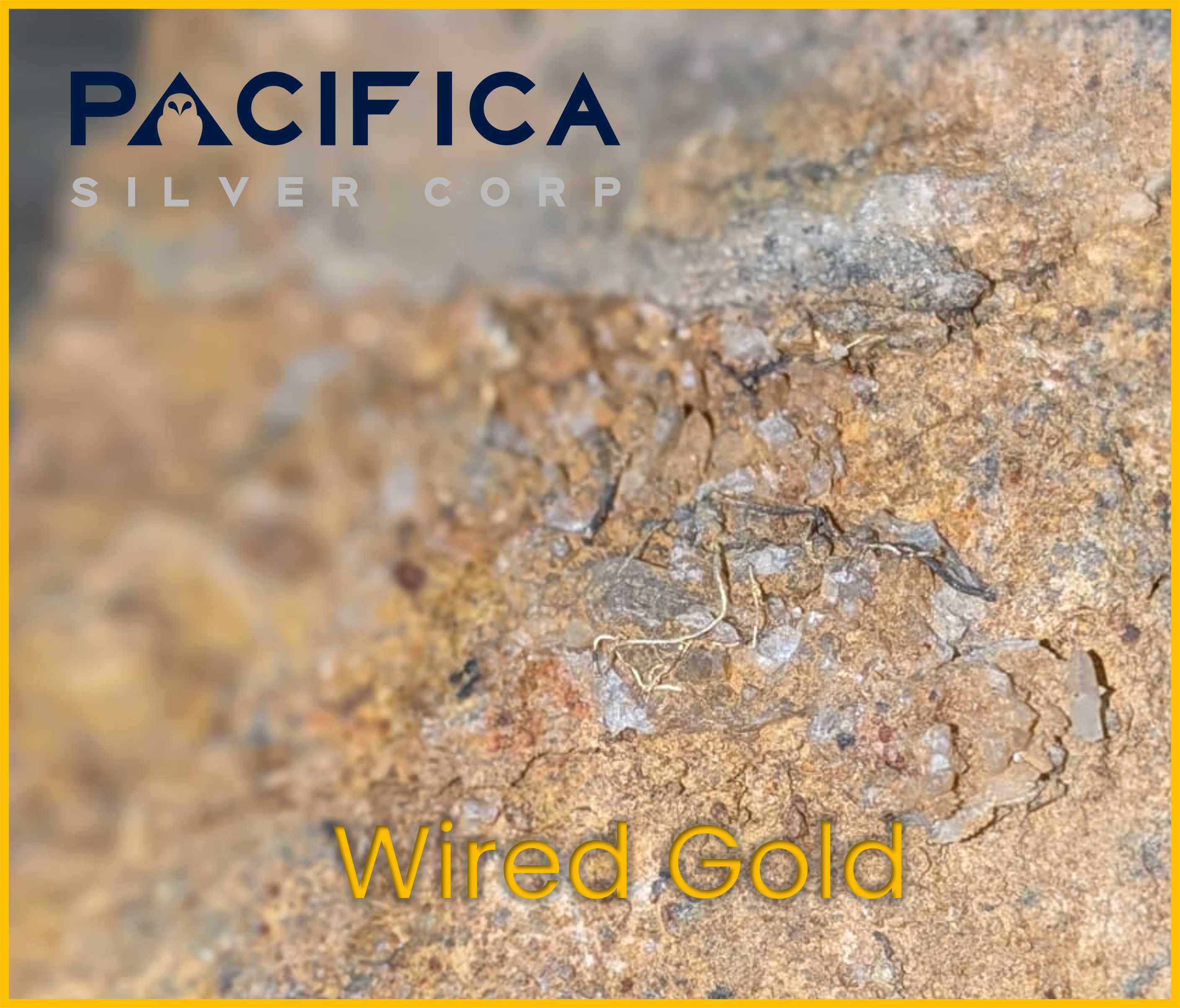 Wired Gold 2